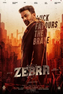 Affiche du film = Zebra