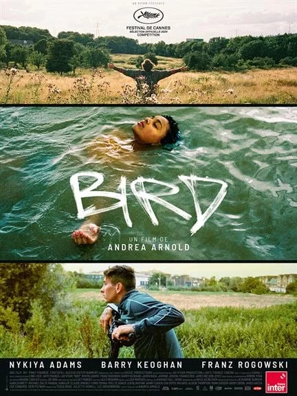 Photo 1 du film : Bird