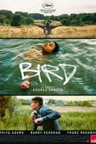 Affiche du film : Bird
