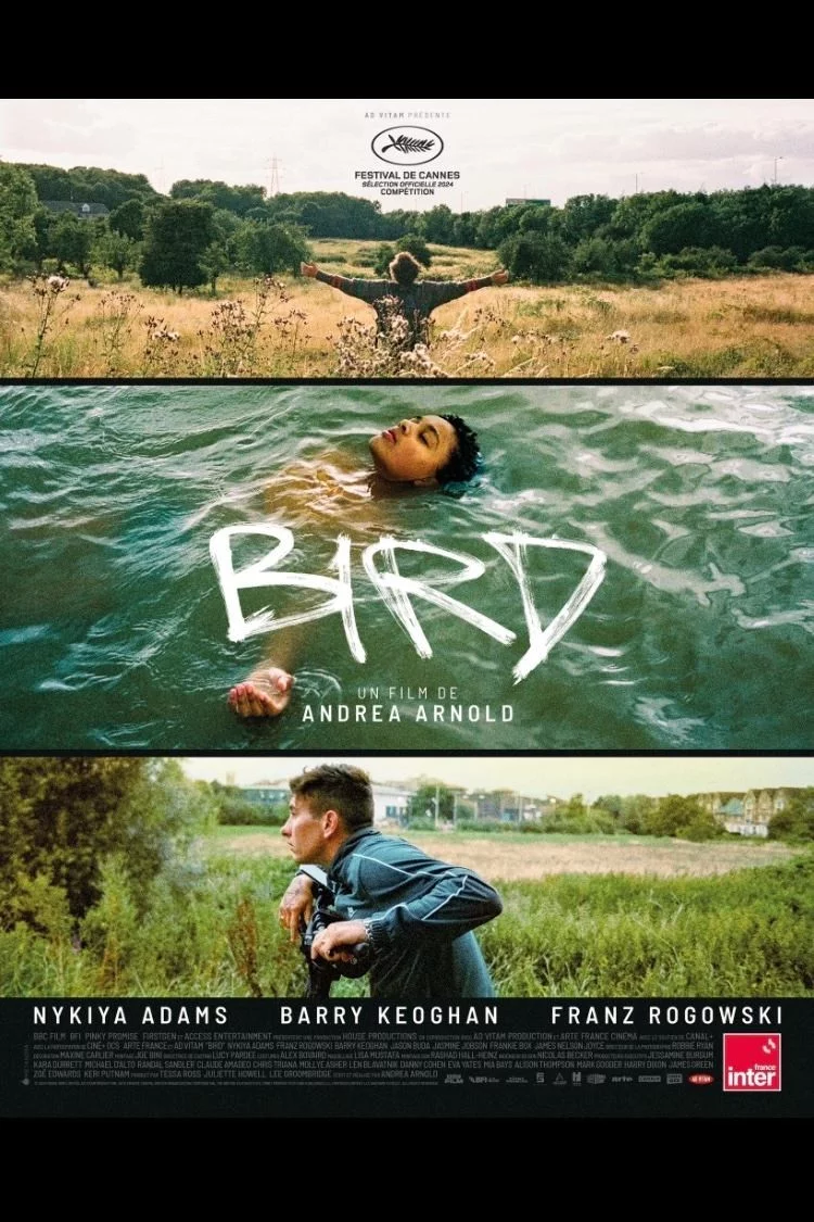 Photo 2 du film : Bird