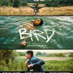 Photo du film : Bird