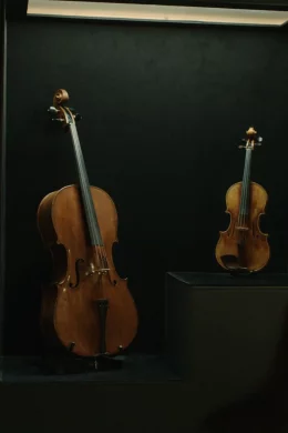 Affiche du film Les musiciens