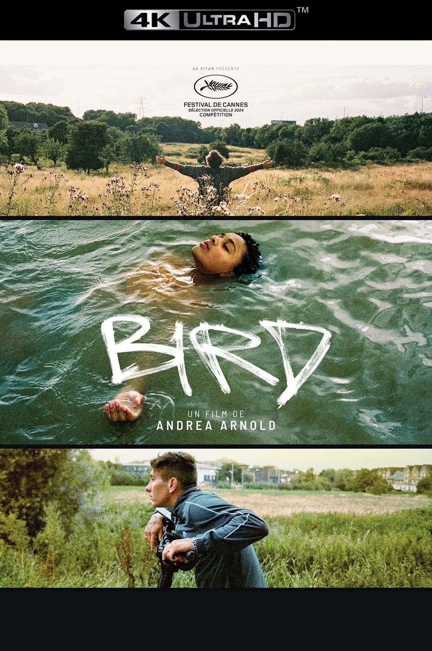 Photo 5 du film : Bird
