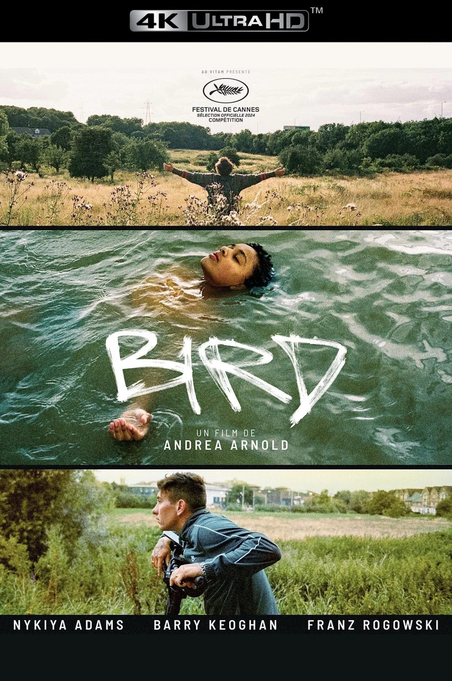 Photo 6 du film : Bird