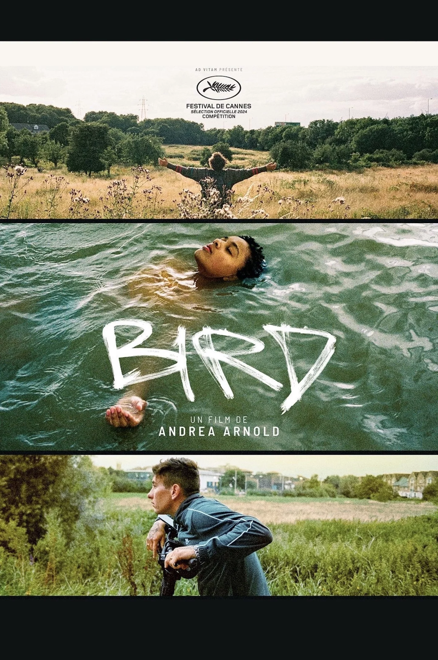 Photo 7 du film : Bird