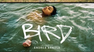 Affiche du film : Bird