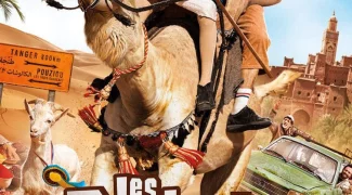 Affiche du film : Les Bodin’s partent en vrille
