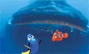 Photo 4 du film : Le Monde de Nemo