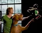Photo du film : Scooby-Doo 2 - Les monstres se déchaînent
