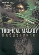 Affiche du film Tropical malady