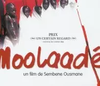 Affiche du film : Moolaade