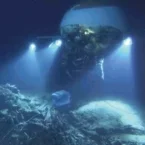 Photo du film : Aliens of the deep