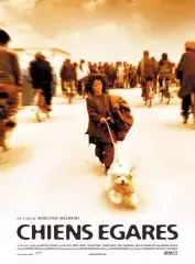 Affiche du film Chiens égarés