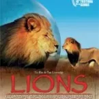 Photo du film : Lions : combat de rois au kalahari