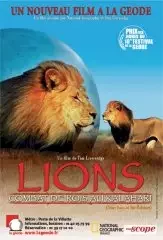 Affiche du film Lions : combat de rois au kalahari
