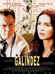 Affiche du film : Galindez
