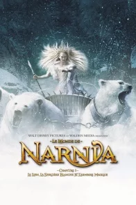 Affiche du film : Le Monde de Narnia : chapitre 1 - Le lion, la sorcière blanche et l’armoire magique