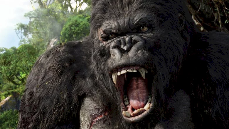 Photo 19 du film : King Kong