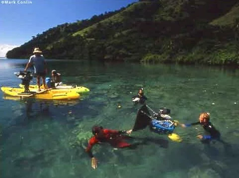 Photo 2 du film : Recifs coralliens
