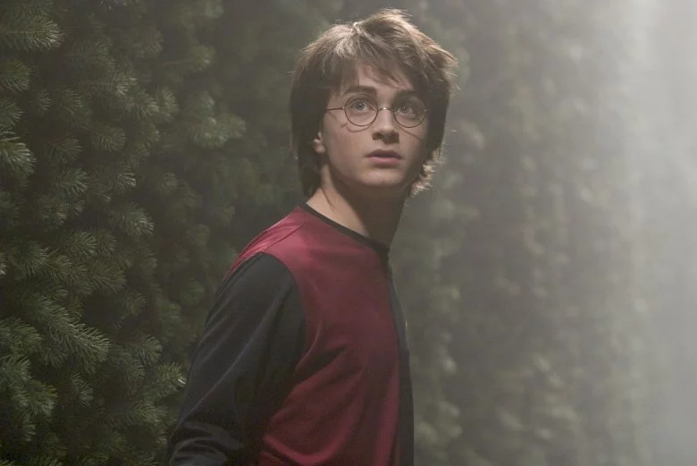 Photo 18 du film : Harry Potter et la coupe de feu