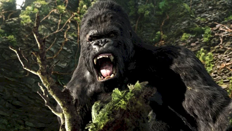 Photo 12 du film : King Kong