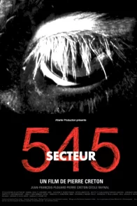Affiche du film : Secteur 545