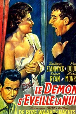 Affiche du film Le demon s'eveille la nuit