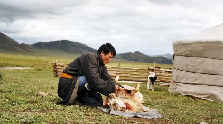 Photo du film : Le chien jaune de Mongolie