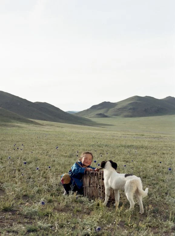 Photo du film : Le chien jaune de Mongolie