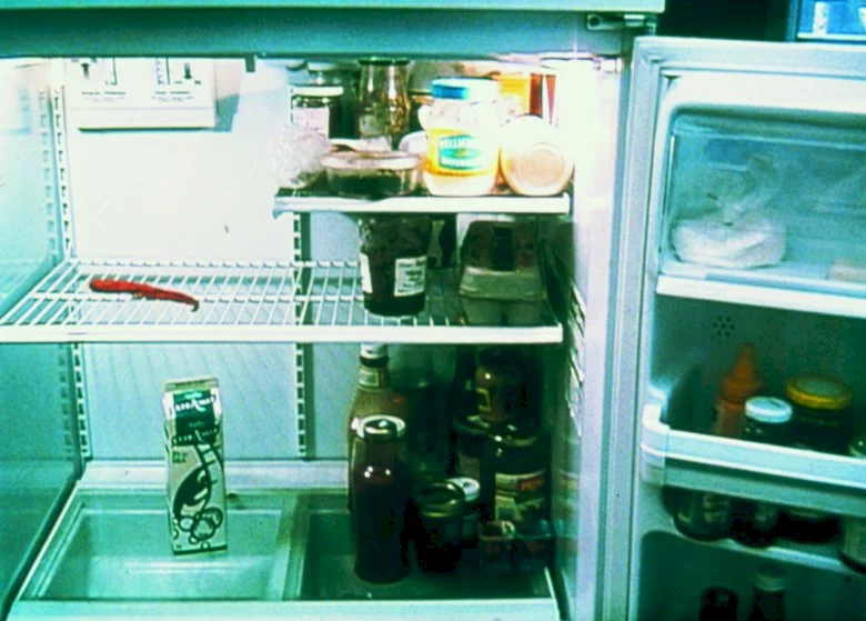 Photo 2 du film : La moitié gauche du frigo