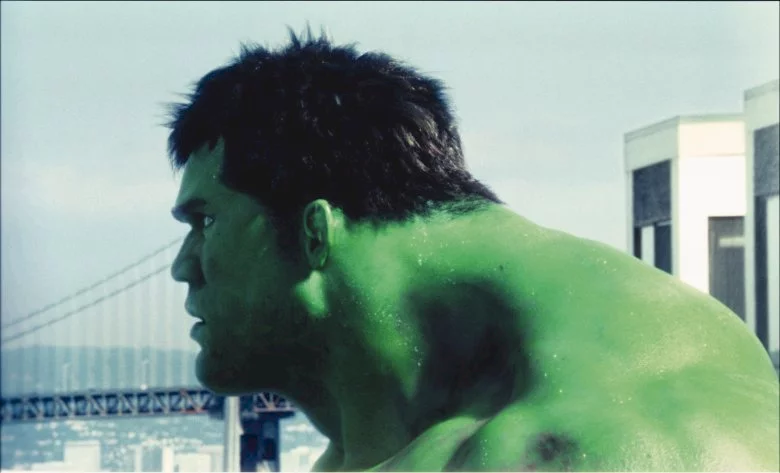 Photo 11 du film : Hulk