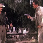 Photo du film : Apportez-moi la tête d'Alfredo Garcia