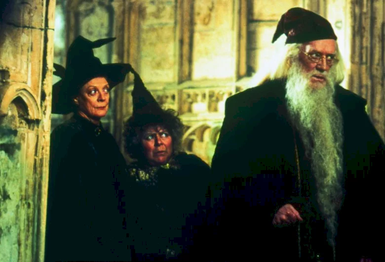 Photo 5 du film : Harry Potter et la chambre des secrets