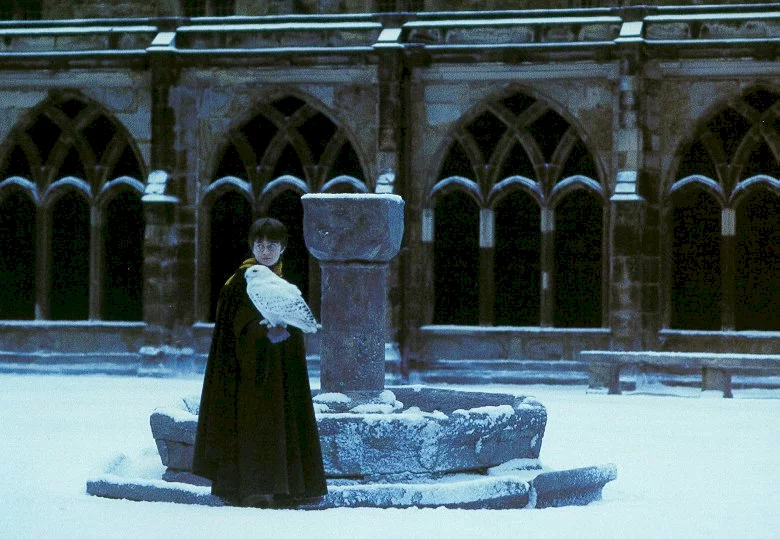 Photo 5 du film : Harry Potter à l'école des sorciers