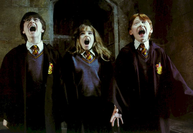 Photo 12 du film : Harry Potter à l'école des sorciers