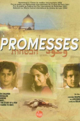 Affiche du film Promesses