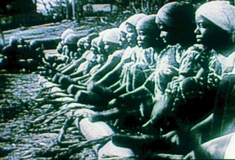 Photo 7 du film : Afrique, Je Te Plumerai