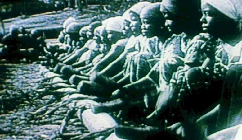 Photo du film : Afrique, Je Te Plumerai