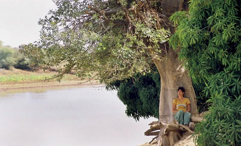 Photo 3 du film : Lili et le baobab