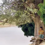 Photo du film : Lili et le baobab