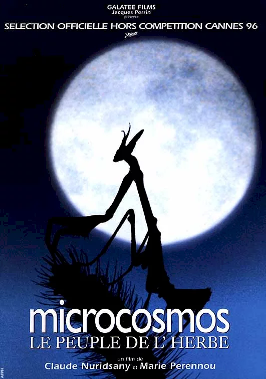 Photo 1 du film : Microcosmos, le peuple de l'herbe