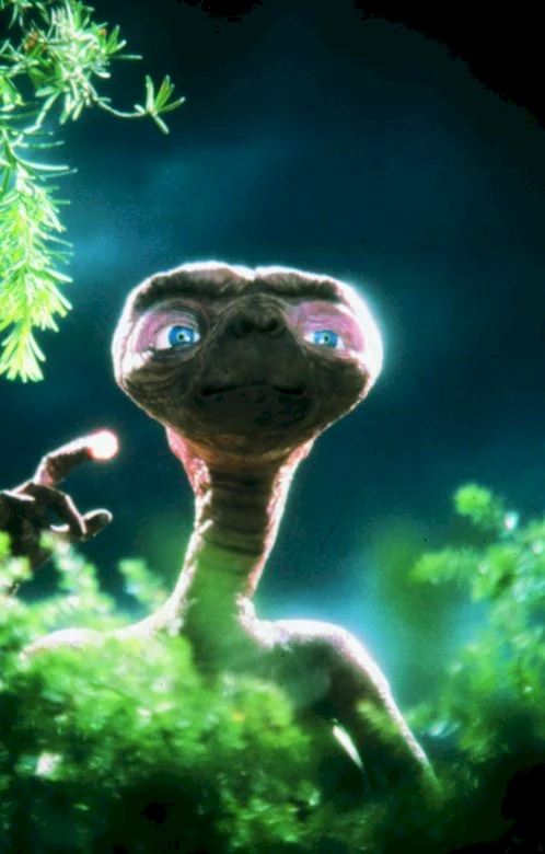 Photo du film : E.T. l'extra-terrestre