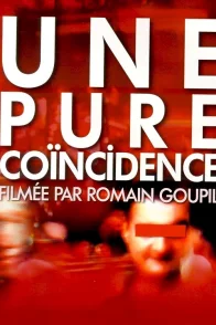 Affiche du film : Une pure coincidence