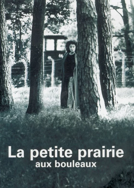 Photo 1 du film : La petite prairie aux bouleaux