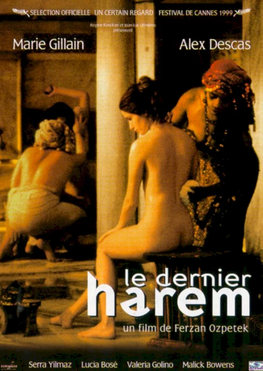 Photo 1 du film : Le dernier harem
