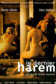 Affiche du film : Le dernier harem