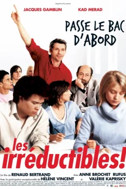 Affiche du film Les irréductibles