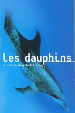 Affiche du film Les dauphins