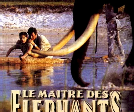 Photo du film : Le maitre des elephants