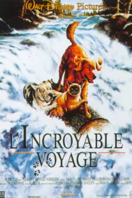 Affiche du film L'incroyable voyage